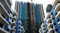 桂林三象建筑材料 - 洛阳生活资讯 - 洛阳28生活网 luoyang.28life.com