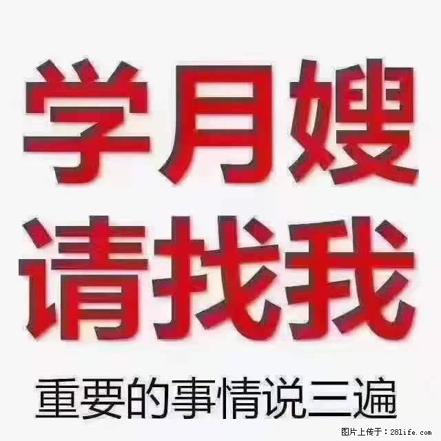 为什么要学习月嫂,育婴师? - 新手上路 - 洛阳生活社区 - 洛阳28生活网 luoyang.28life.com