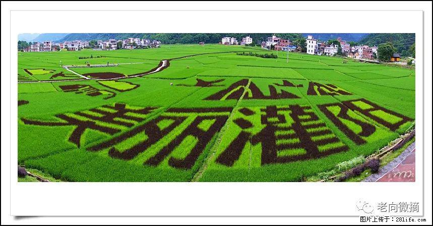 【春天,广西桂林灌阳县向您发出邀请!】开篇 - 游山玩水 - 洛阳生活社区 - 洛阳28生活网 luoyang.28life.com