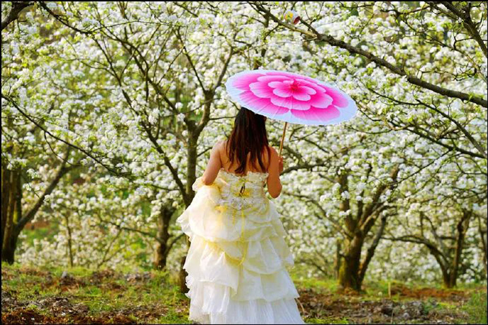 【春天,广西桂林灌阳县向您发出邀请!】我们在灌阳看梨花 - 游山玩水 - 洛阳生活社区 - 洛阳28生活网 luoyang.28life.com