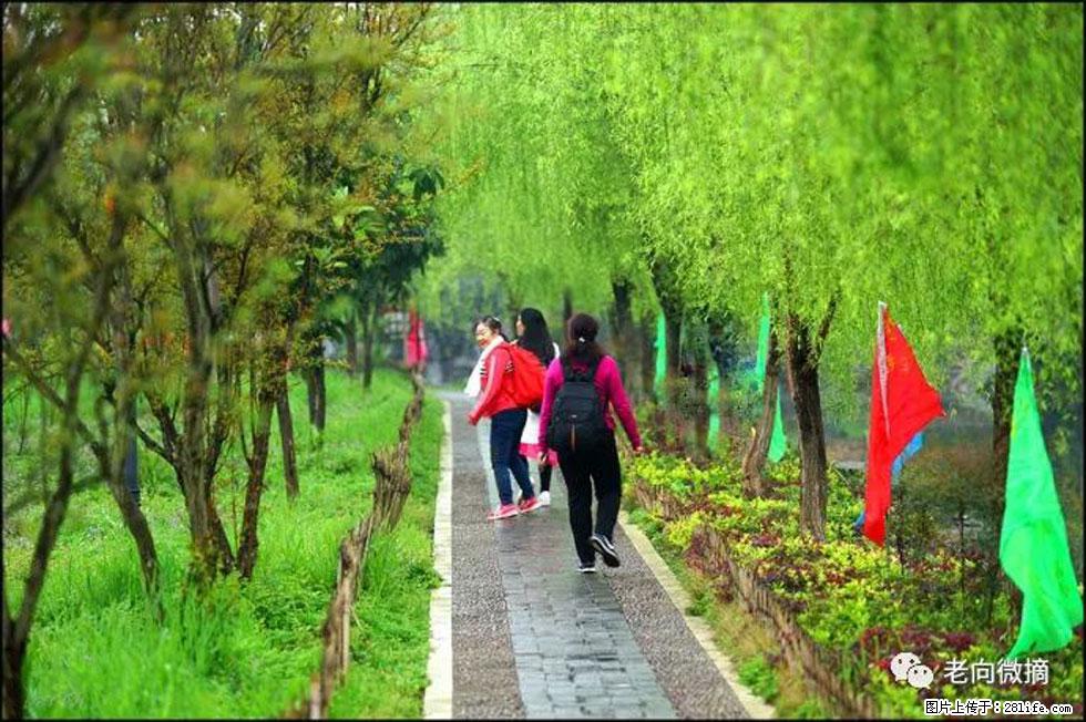 【春天，广西桂林灌阳县向您发出邀请！】江口老街又逢春 - 游山玩水 - 洛阳生活社区 - 洛阳28生活网 luoyang.28life.com
