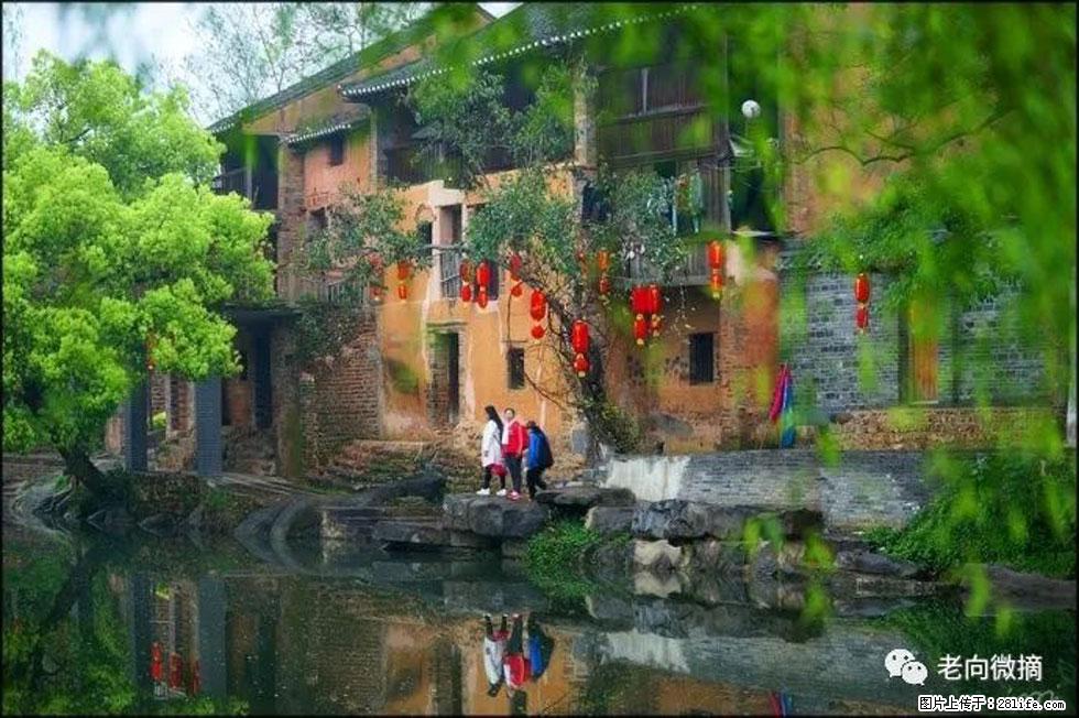 【春天，广西桂林灌阳县向您发出邀请！】江口老街又逢春 - 游山玩水 - 洛阳生活社区 - 洛阳28生活网 luoyang.28life.com