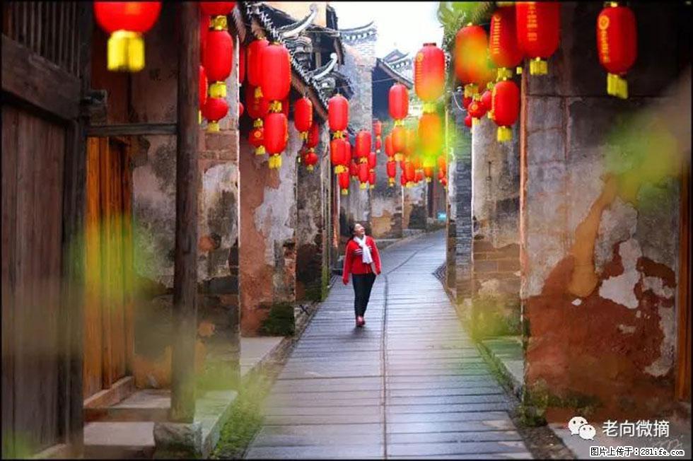 【春天，广西桂林灌阳县向您发出邀请！】江口老街又逢春 - 游山玩水 - 洛阳生活社区 - 洛阳28生活网 luoyang.28life.com