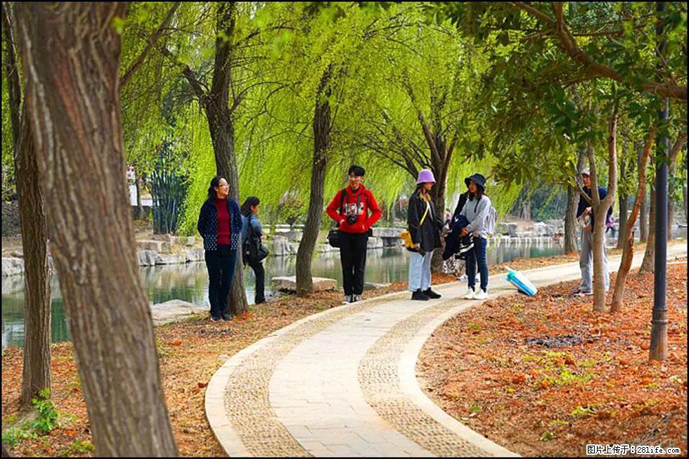 【春天，广西桂林灌阳县向您发出邀请！】江口老街又逢春 - 游山玩水 - 洛阳生活社区 - 洛阳28生活网 luoyang.28life.com