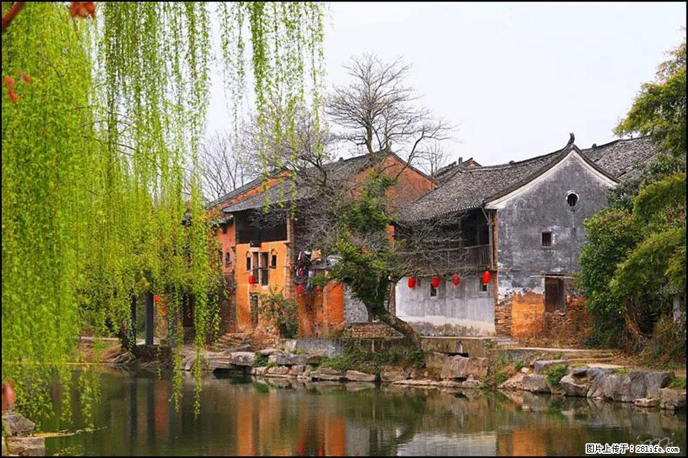 【春天，广西桂林灌阳县向您发出邀请！】江口老街又逢春 - 游山玩水 - 洛阳生活社区 - 洛阳28生活网 luoyang.28life.com