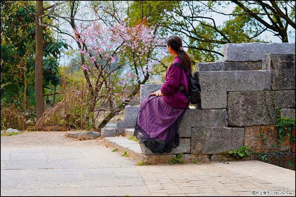 【春天，广西桂林灌阳县向您发出邀请！】江口老街又逢春 - 游山玩水 - 洛阳生活社区 - 洛阳28生活网 luoyang.28life.com