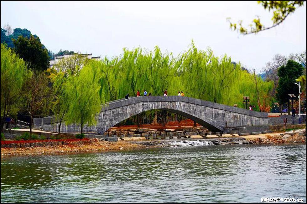 【春天，广西桂林灌阳县向您发出邀请！】江口老街又逢春 - 游山玩水 - 洛阳生活社区 - 洛阳28生活网 luoyang.28life.com