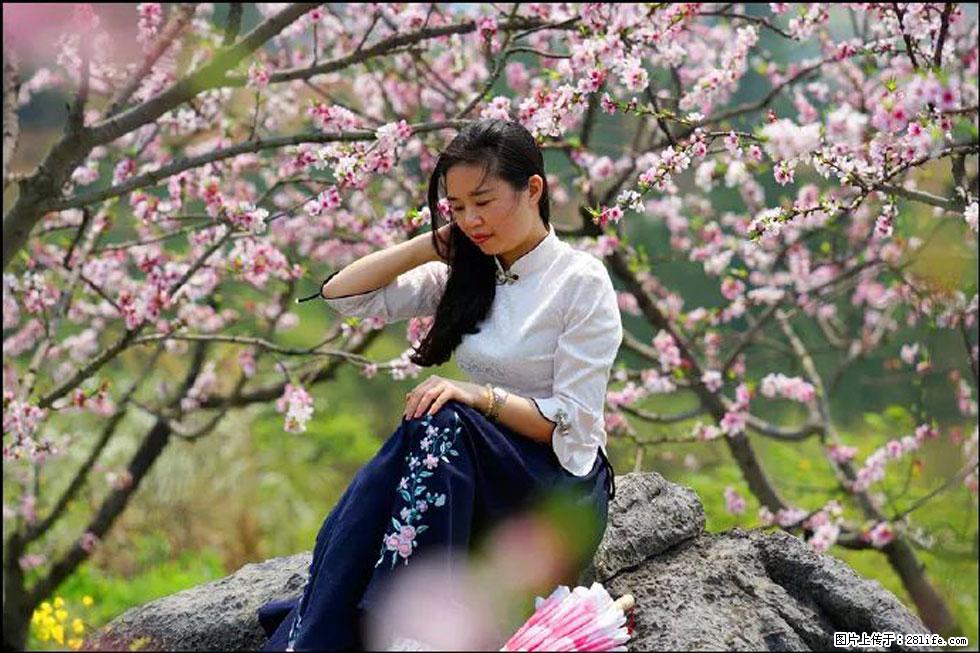 【春天,广西桂林灌阳县向您发出邀请!】望月岭上桃花开 - 游山玩水 - 洛阳生活社区 - 洛阳28生活网 luoyang.28life.com