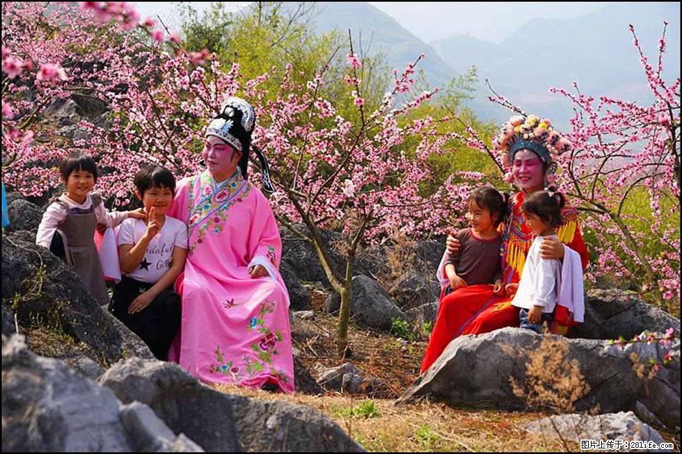 【春天,广西桂林灌阳县向您发出邀请!】望月岭上桃花开 - 游山玩水 - 洛阳生活社区 - 洛阳28生活网 luoyang.28life.com