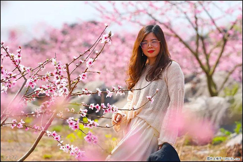 【春天,广西桂林灌阳县向您发出邀请!】望月岭上桃花开 - 游山玩水 - 洛阳生活社区 - 洛阳28生活网 luoyang.28life.com