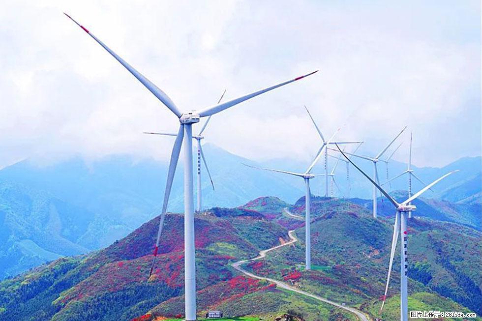 【春天,广西桂林灌阳县向您发出邀请!】春木界上映山红 - 游山玩水 - 洛阳生活社区 - 洛阳28生活网 luoyang.28life.com