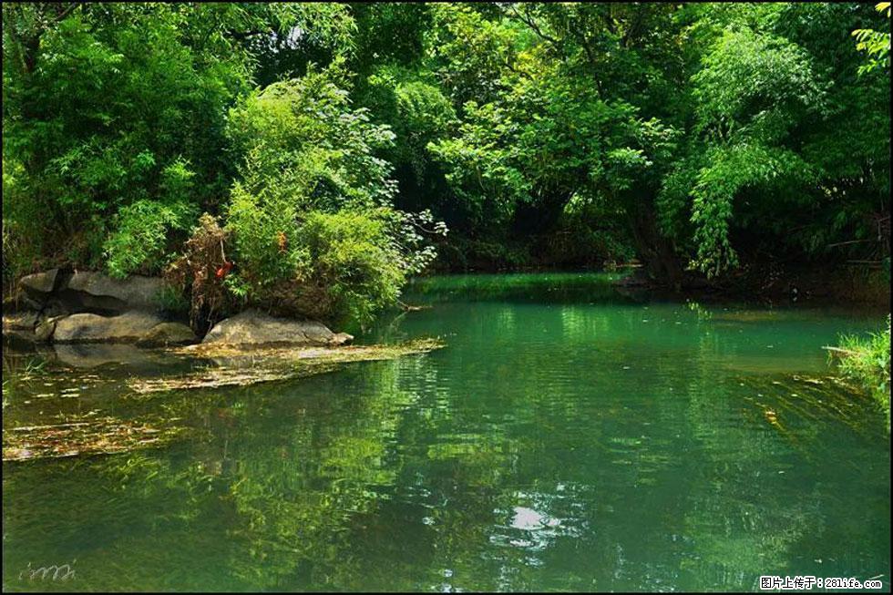 【春天,广西桂林灌阳县向您发出邀请!】如梦似幻莲溪庐 - 游山玩水 - 洛阳生活社区 - 洛阳28生活网 luoyang.28life.com