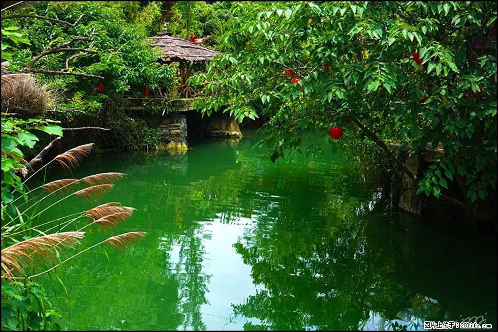 【春天,广西桂林灌阳县向您发出邀请!】如梦似幻莲溪庐 - 游山玩水 - 洛阳生活社区 - 洛阳28生活网 luoyang.28life.com