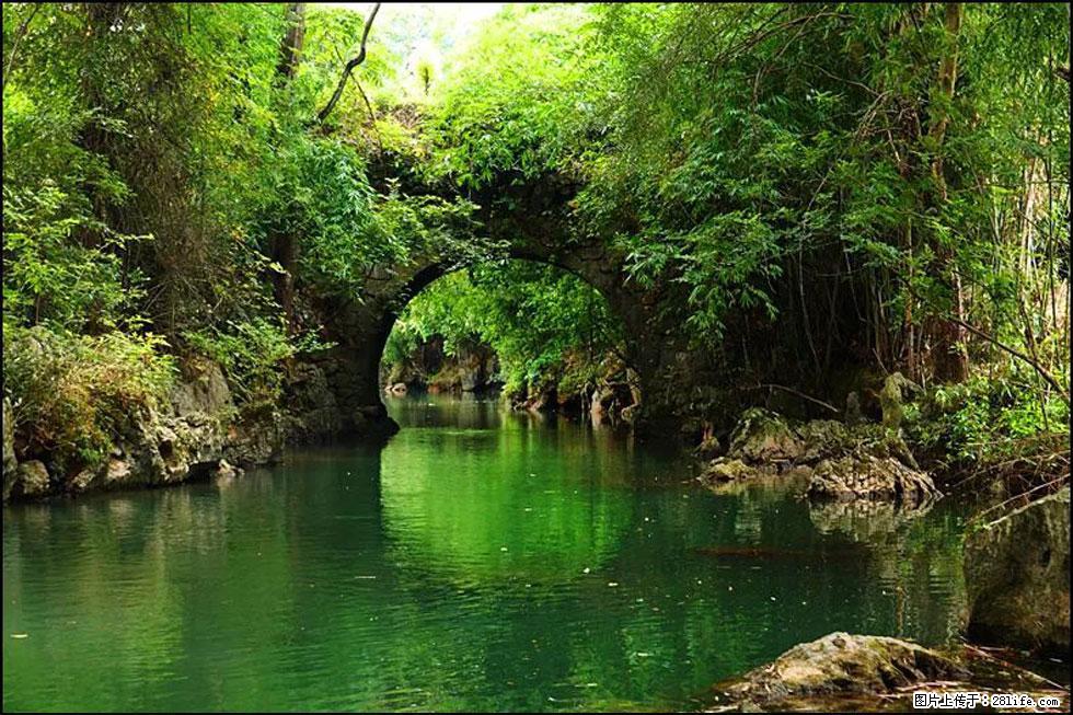 【春天,广西桂林灌阳县向您发出邀请!】如梦似幻莲溪庐 - 游山玩水 - 洛阳生活社区 - 洛阳28生活网 luoyang.28life.com