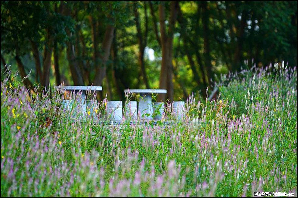 【春天,广西桂林灌阳县向您发出邀请!】熊家寨湿地公园 - 游山玩水 - 洛阳生活社区 - 洛阳28生活网 luoyang.28life.com