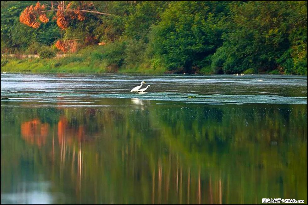 【春天,广西桂林灌阳县向您发出邀请!】熊家寨湿地公园 - 游山玩水 - 洛阳生活社区 - 洛阳28生活网 luoyang.28life.com