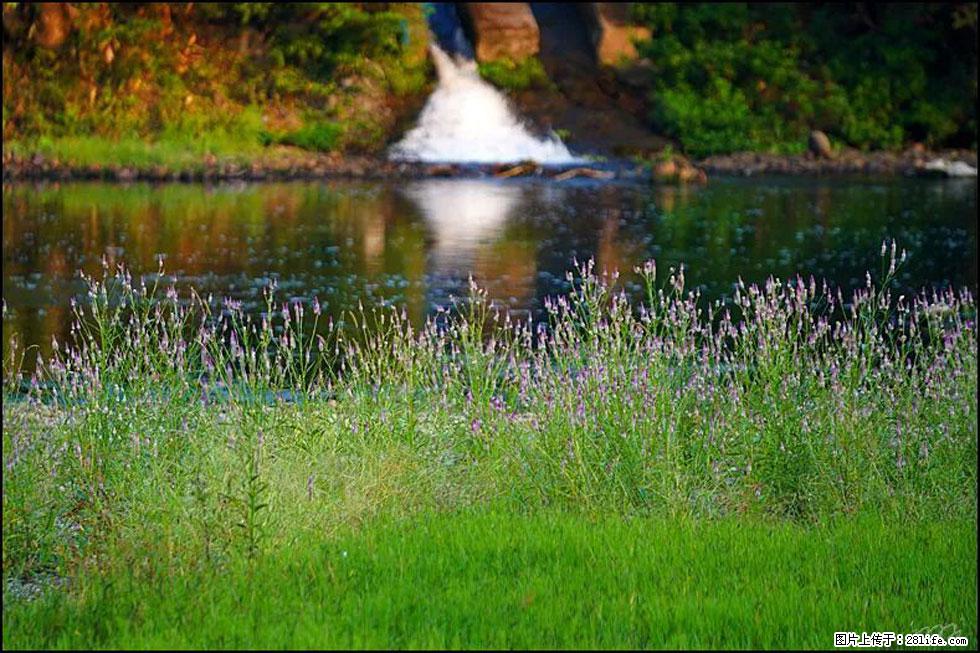 【春天,广西桂林灌阳县向您发出邀请!】熊家寨湿地公园 - 游山玩水 - 洛阳生活社区 - 洛阳28生活网 luoyang.28life.com