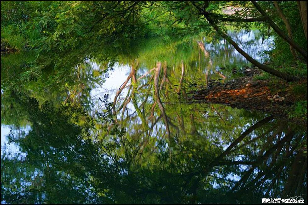 【春天,广西桂林灌阳县向您发出邀请!】熊家寨湿地公园 - 游山玩水 - 洛阳生活社区 - 洛阳28生活网 luoyang.28life.com