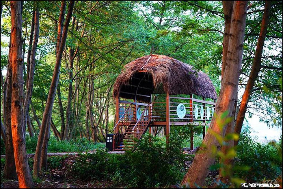 【春天,广西桂林灌阳县向您发出邀请!】熊家寨湿地公园 - 游山玩水 - 洛阳生活社区 - 洛阳28生活网 luoyang.28life.com