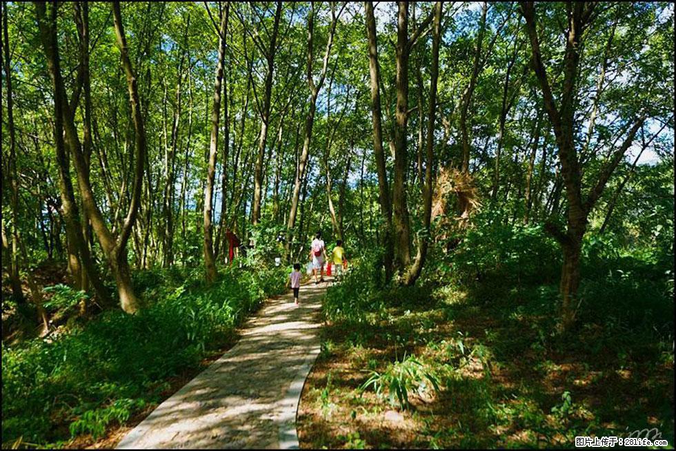 【春天,广西桂林灌阳县向您发出邀请!】熊家寨湿地公园 - 游山玩水 - 洛阳生活社区 - 洛阳28生活网 luoyang.28life.com