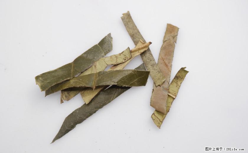 苦丁茶有哪些功效和作用 - 生活百科 - 洛阳生活社区 - 洛阳28生活网 luoyang.28life.com