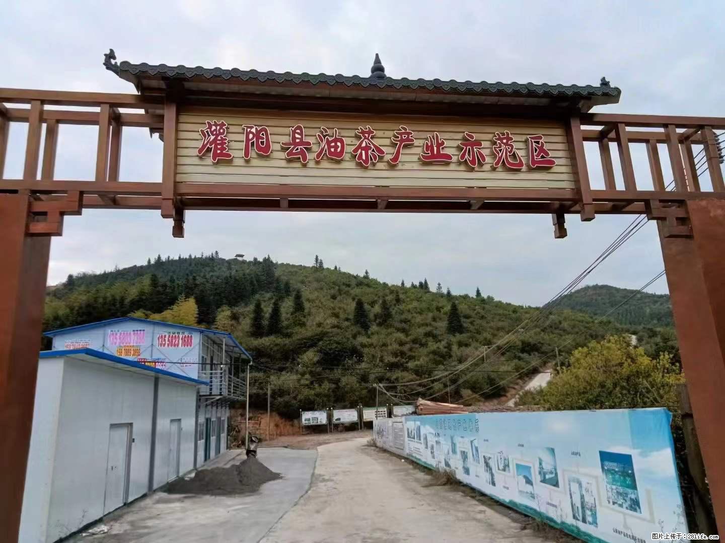 【灌阳县油茶产业示范区】一个有着充实的精神生活的人，对待身外之物自会有一种淡泊的态度 - 土特产 - 饮食特产 - 洛阳分类信息 - 洛阳28生活网 luoyang.28life.com