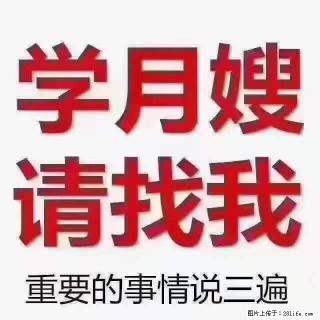 为什么要学习月嫂,育婴师? - 洛阳28生活网 luoyang.28life.com