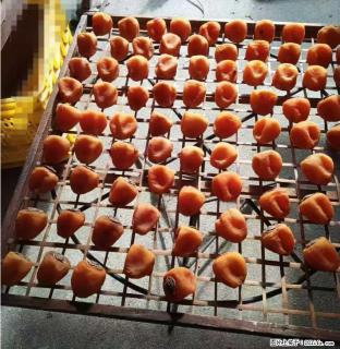 广西桂林平乐桥亭【柿饼之乡】2025年纯手工制作、无任何添加剂的第一批柿饼准备上市了，欢迎联系订购！ - 洛阳28生活网 luoyang.28life.com