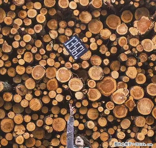辞掉工作周游世界?现在他们在洗厕所…… - 游山玩水 - 洛阳生活社区 - 洛阳28生活网 luoyang.28life.com