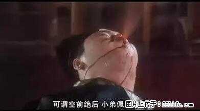 笑癫了!一女的怀孕三年未生,他终于忍不住了... - 娱乐八卦 - 洛阳生活社区 - 洛阳28生活网 luoyang.28life.com