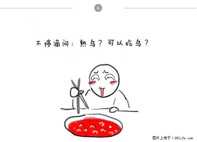 千万不要和这9种哈卵一起吃火锅! - 美食天地 - 洛阳生活社区 - 洛阳28生活网 luoyang.28life.com