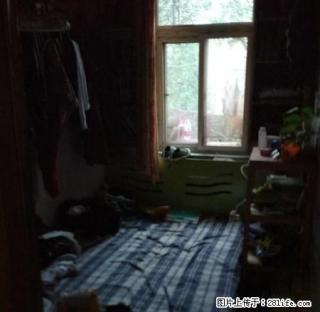 王城公园旁小区出租,两室600.楼下就是公交站 - 洛阳28生活网 luoyang.28life.com