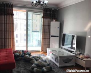 宝龙住宅 至好户型朝阳 不用暖气就朝阳 家电齐全 全新出租 - 洛阳28生活网 luoyang.28life.com