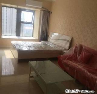 王城公园 升龙广场C区 简装一室 家具家电齐全 随时看房 - 洛阳28生活网 luoyang.28life.com