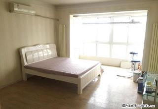 南昌路万达广场 小区内精装一室 双气 拎包入住 独厨独卫 - 洛阳28生活网 luoyang.28life.com