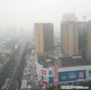 抢 抢 抢 中迈红东方75平方好房 一口价1400元挥泪出租 - 洛阳28生活网 luoyang.28life.com