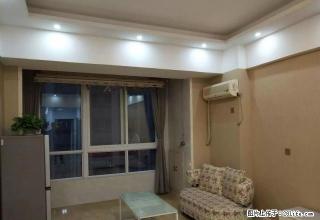 泉舜正大旁 宝龙精装1室1厅 家电家具齐全 拎包入住 - 洛阳28生活网 luoyang.28life.com
