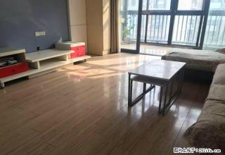 上海市场+联盟路+武汉路+香港城+阳光房错层精装拎包住 - 洛阳28生活网 luoyang.28life.com