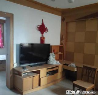 珠江路 标准两室 拎包入住 中间楼层 - 洛阳28生活网 luoyang.28life.com