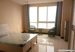 宝龙城市广场,精装公寓拎包入住,1050元一个月, - 洛阳28生活网 luoyang.28life.com