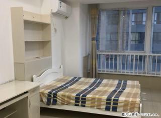 宝龙三期公寓全新未住豪华装修望音乐喷泉无敌夜景暖气房急租急急 - 洛阳28生活网 luoyang.28life.com