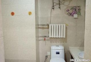 宝龙一期精装一室 稀.缺好房 随时看房 - 洛阳28生活网 luoyang.28life.com