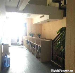 无中介费万国银座 复式两居 办公 急租！ 牡丹广场旁 - 洛阳28生活网 luoyang.28life.com