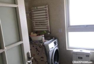 宝龙城市广场精装修 温馨舒适 干净大方 手慢无 欢迎致电。 - 洛阳28生活网 luoyang.28life.com