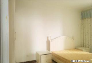 上海市场+武汉路+香港城+两室+双气+家具家电齐全+拎包入住 - 洛阳28生活网 luoyang.28life.com