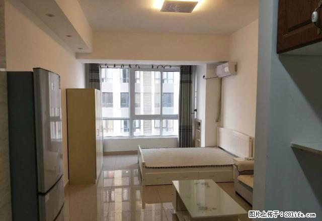 宝龙E座精装暖气房温馨舒适交通便利拎包入住房东急租有钥匙 - 房屋出租 - 房屋租售 - 洛阳分类信息 - 洛阳28生活网 luoyang.28life.com