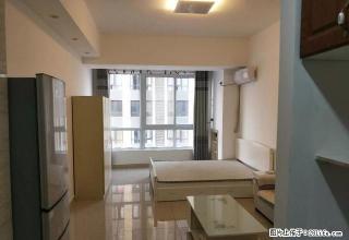 宝龙E座精装暖气房温馨舒适交通便利拎包入住房东急租有钥匙 - 洛阳28生活网 luoyang.28life.com