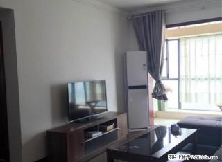 急租 泉舜 精装大两室 纯实木家私 领包入住 手慢则无 - 洛阳28生活网 luoyang.28life.com