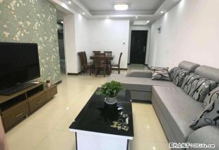 龙康B区 精装二室 年底急租 家私齐全 随时看房 - 洛阳28生活网 luoyang.28life.com