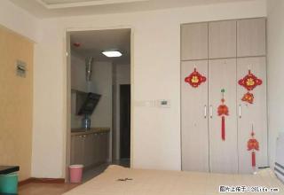 泉舜正大宝龙 精装公寓 可短租押一付一 朝阳户型 随时看 - 洛阳28生活网 luoyang.28life.com